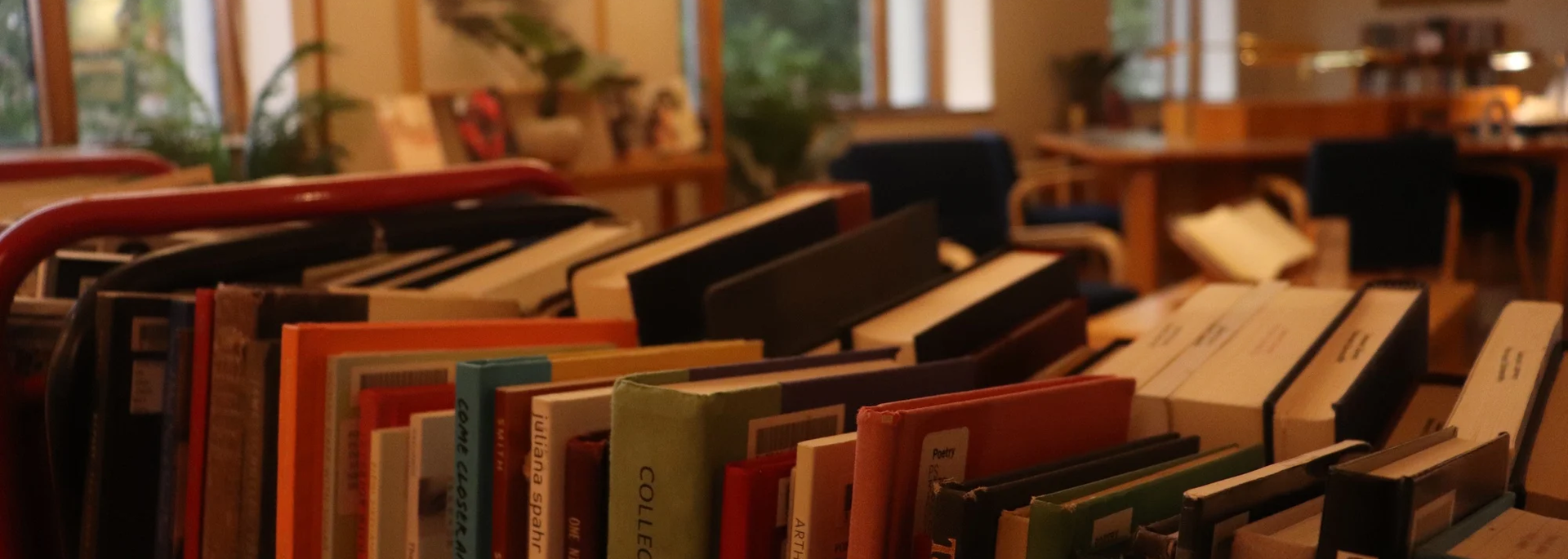 Collection of books on a cart